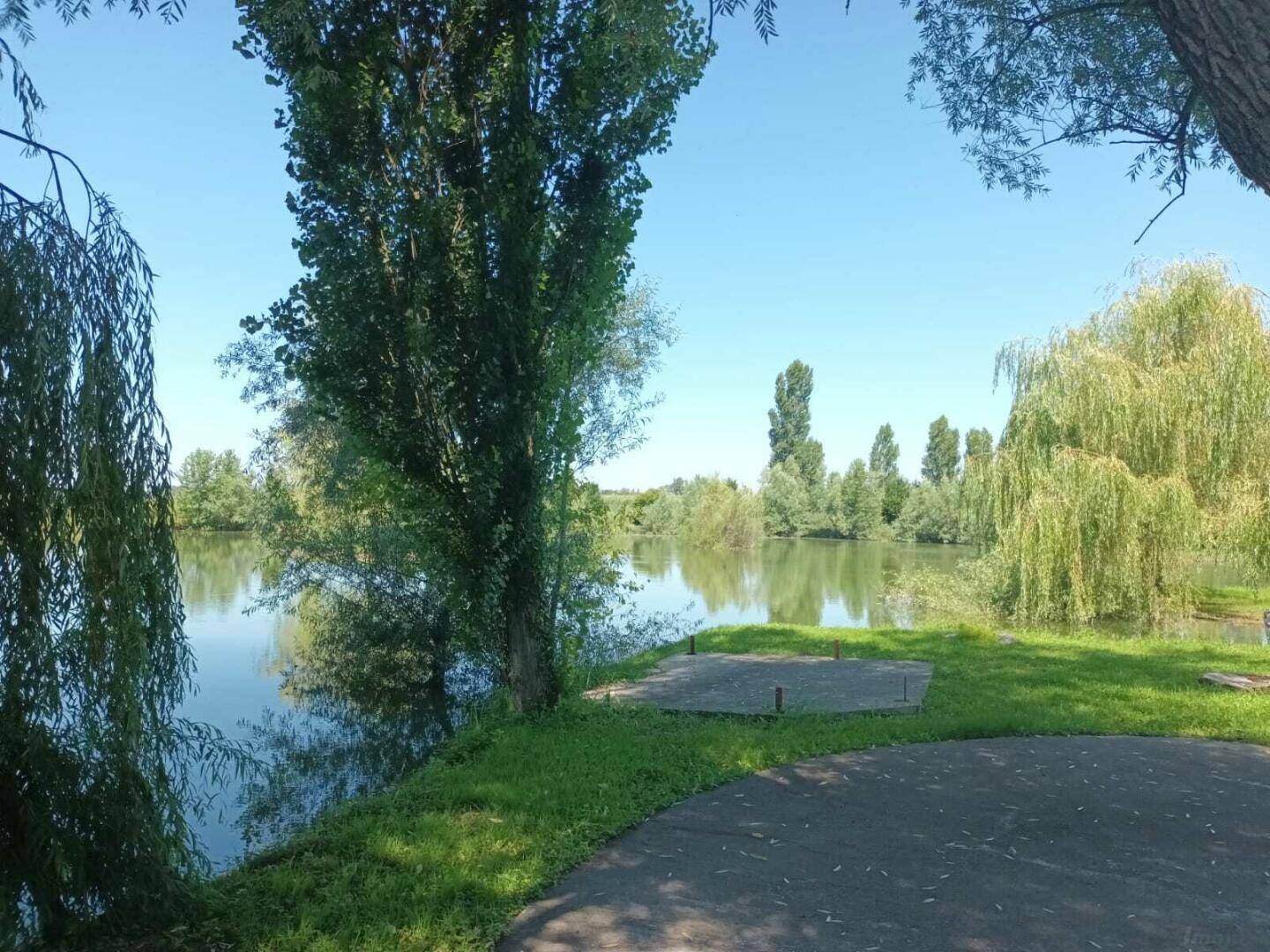 Uferbereich eines Sees mit einer asphaltierten Fläche und hohen Bäumen unter strahlend blauem Himmel.