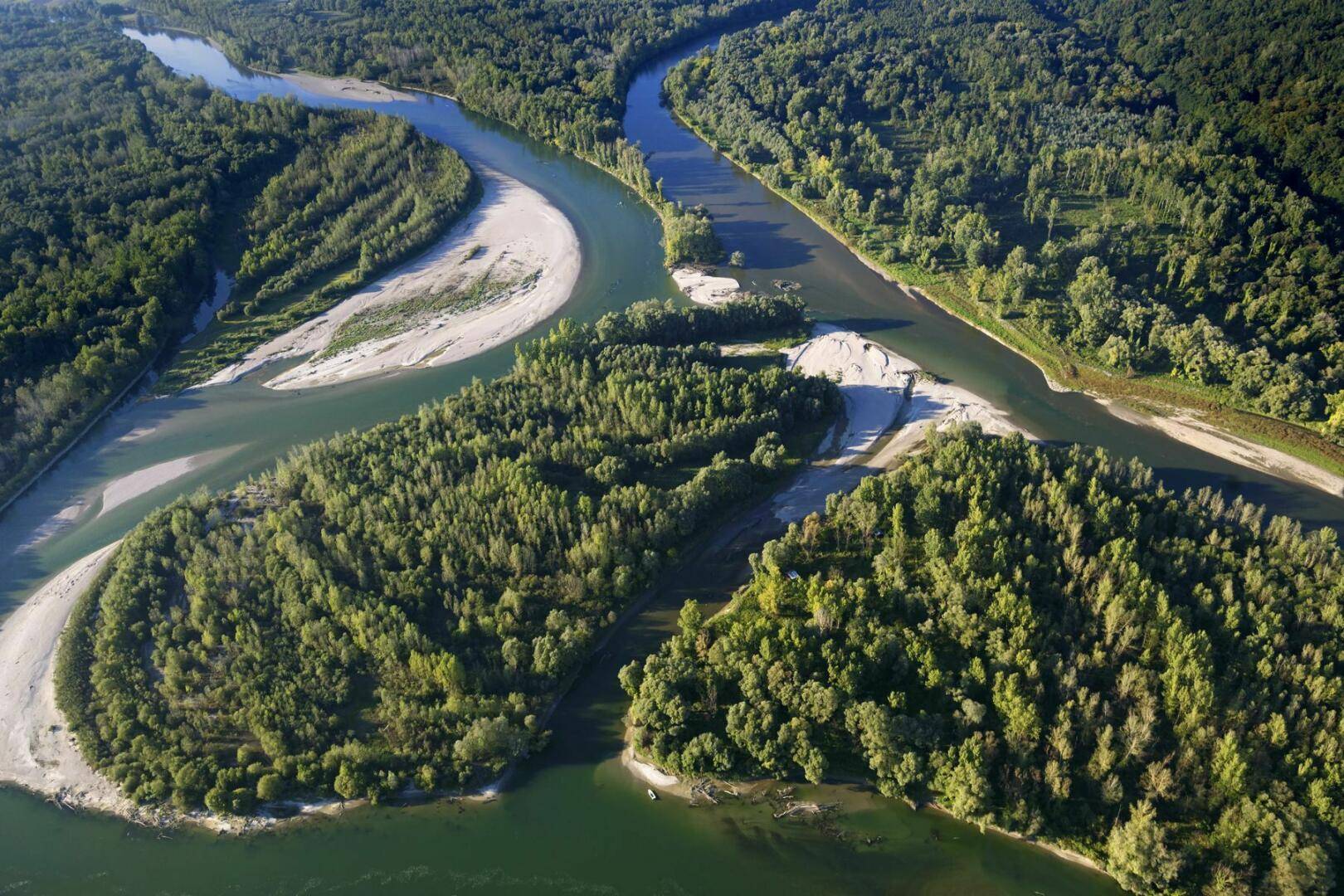 Luftaufnahme eines gewundenen Flusses, der sich durch dichte grüne Wälder und Sandbänke schlängelt.