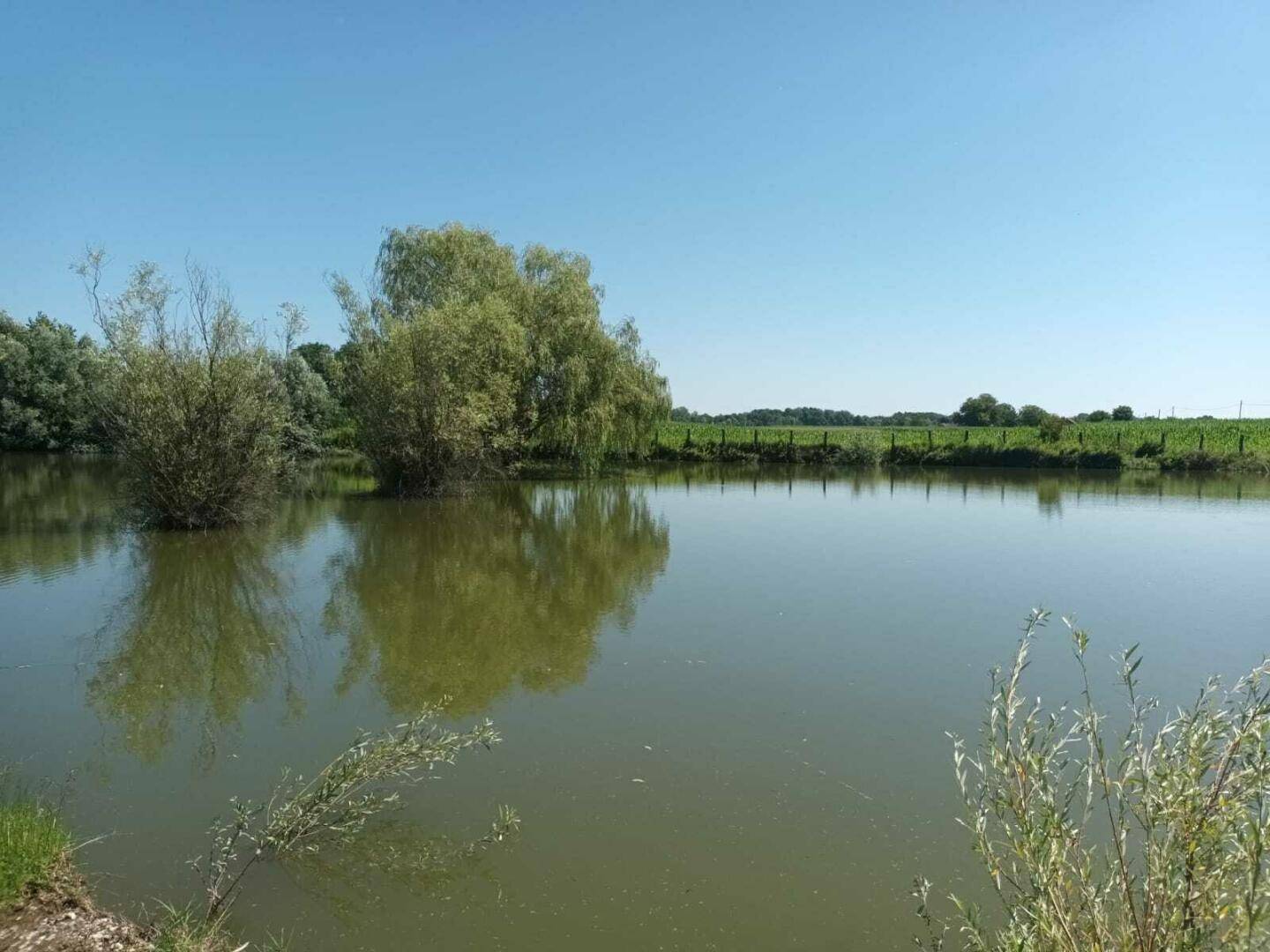 Breiter See mit grünen Ufern und Feldern im Hintergrund unter einem weiten, klaren blauen Himmel.