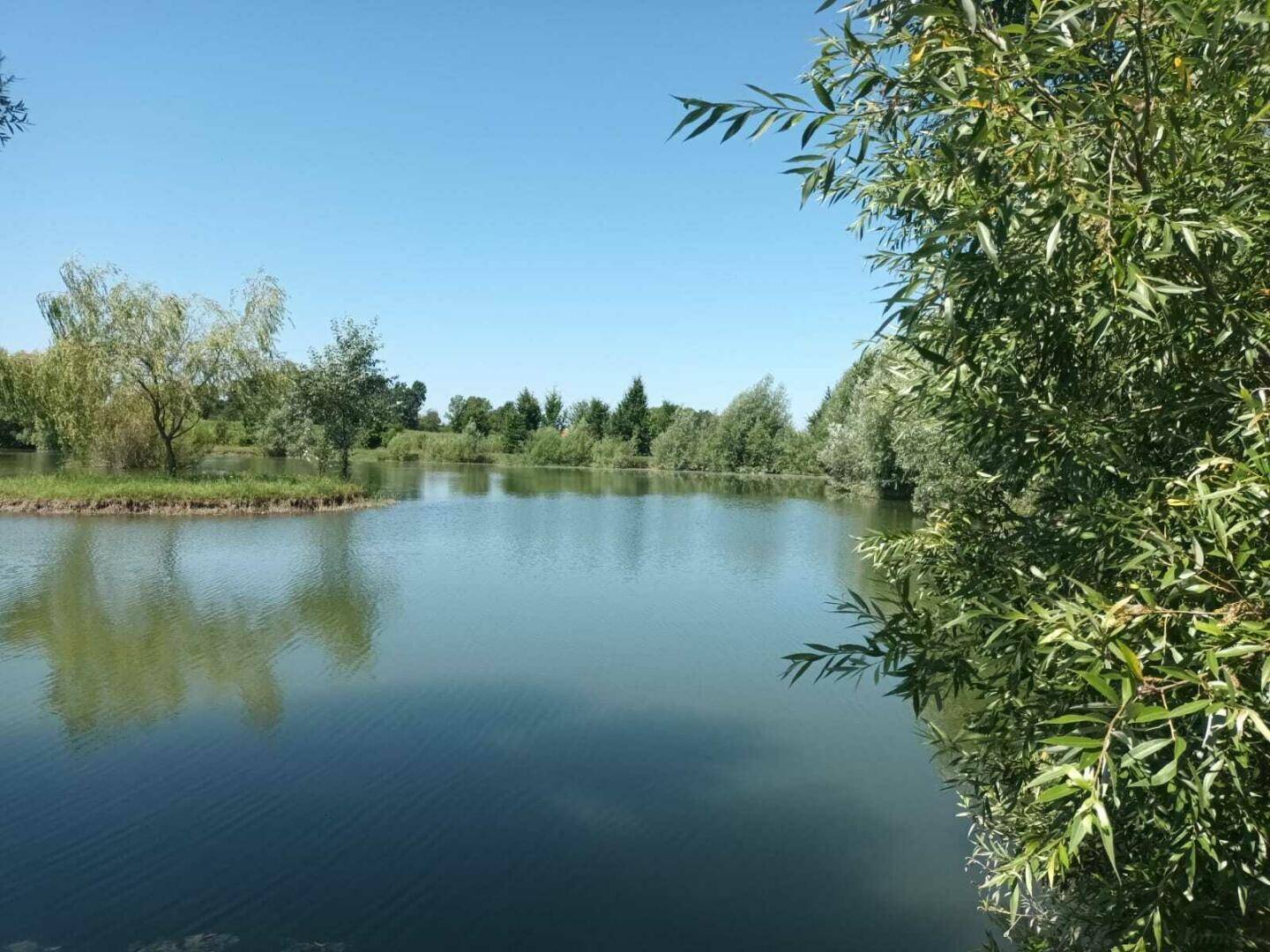 Ruhiger See mit spiegelnder Wasseroberfläche, umgeben von dichtem Grün und Bäumen unter blauem Himmel.