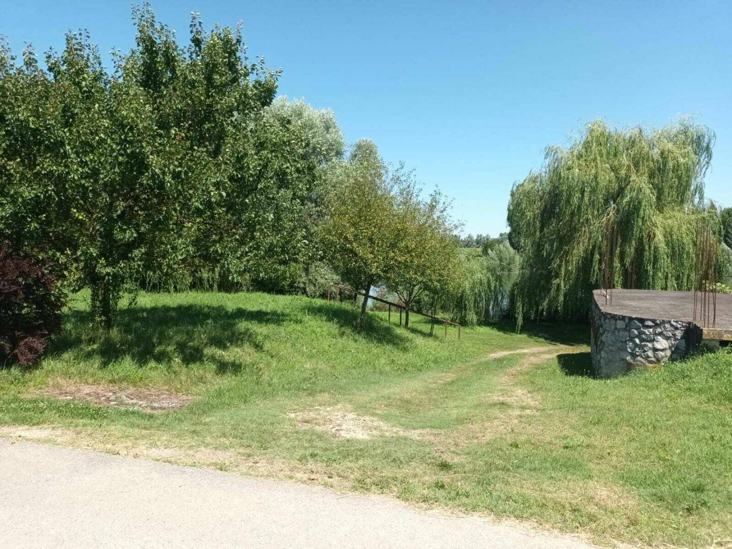 Grüne Wiese mit einem Pfad, der zu einem See führt, umgeben von Bäumen unter blauem Himmel.