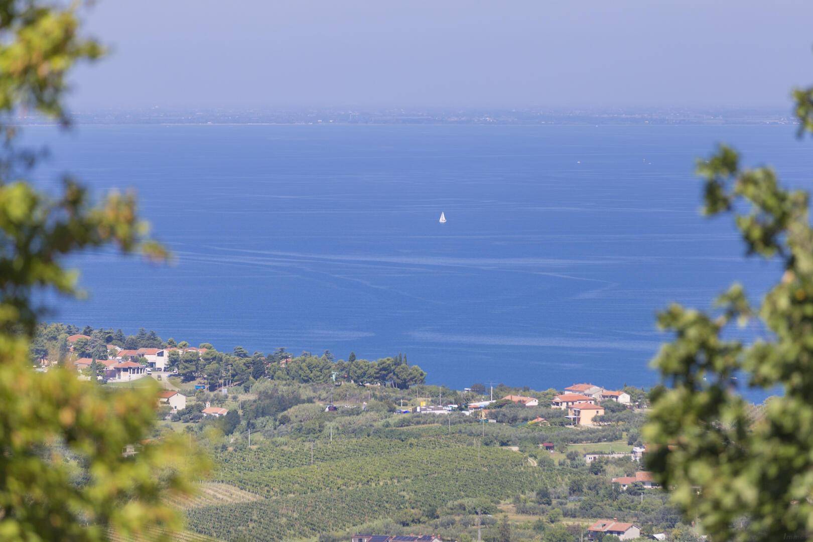 Klarer Blick auf das ruhige Meer mit einem Segelboot am Horizont, umgeben von grünen Bäumen.
