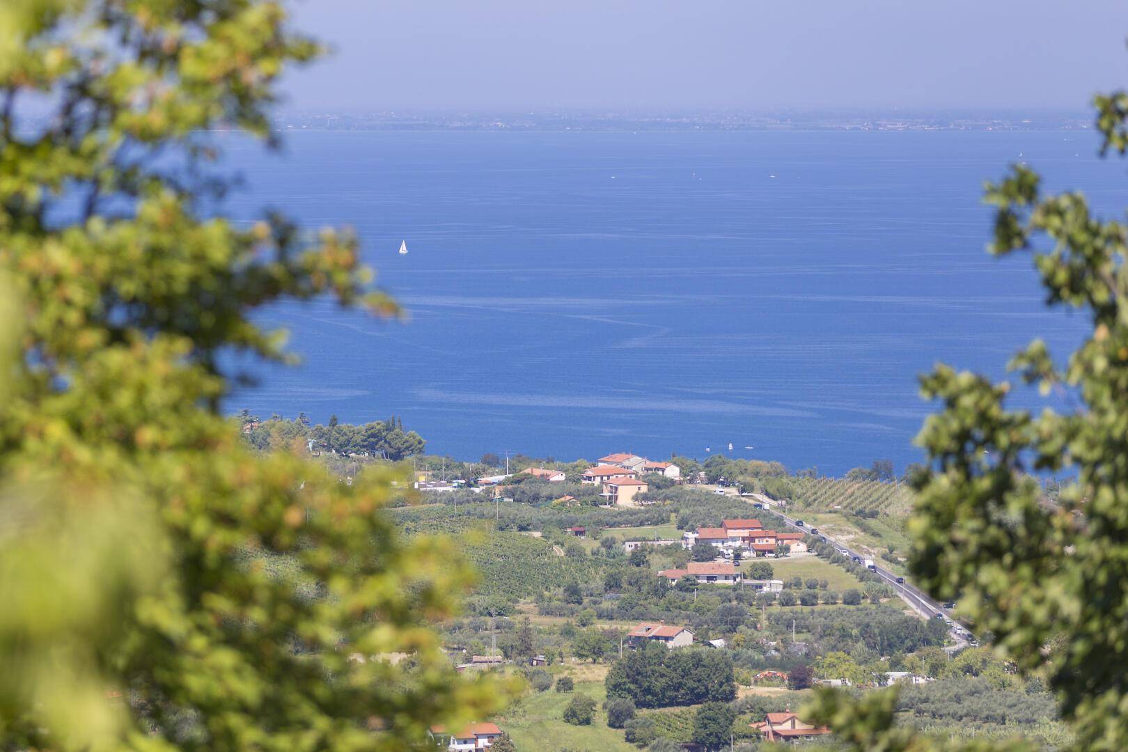Idyllischer Blick auf das tiefblaue Meer, eingerahmt von grünen Baumwipfeln in der Ferne.