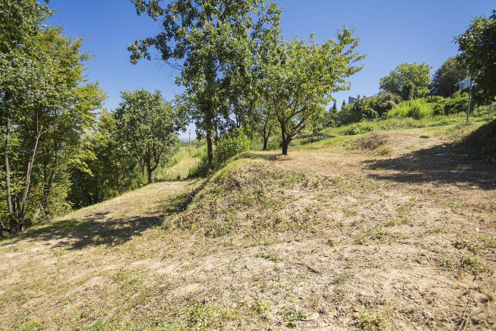 Naturbelassenes, leicht abfallendes Grundstück mit Gras und Bäumen in sonniger Umgebung.