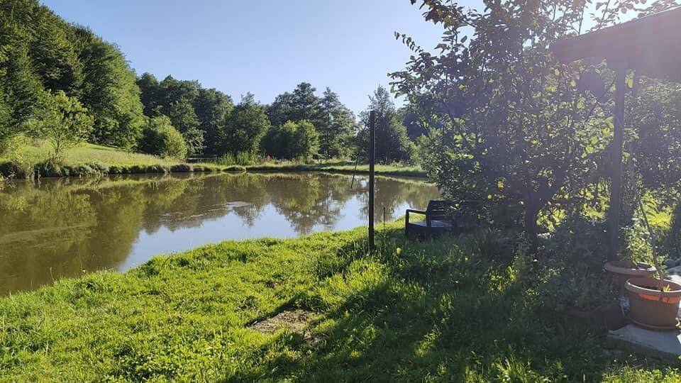 Idyllischer Teich mit spiegelnder Wasseroberfläche, umgeben von üppigem Grün.