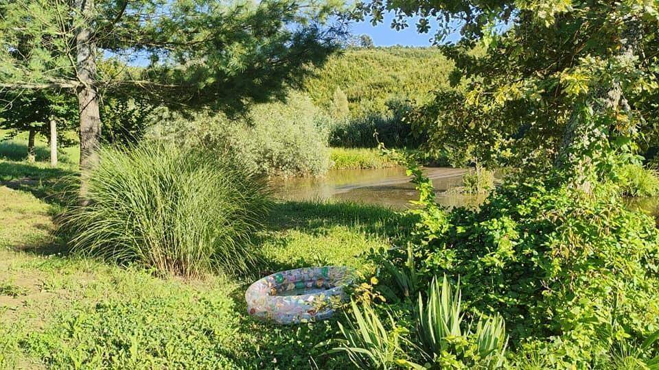 Grüner Gartenbereich mit Teich, üppiger Bepflanzung und kleinem Wasserbecken.