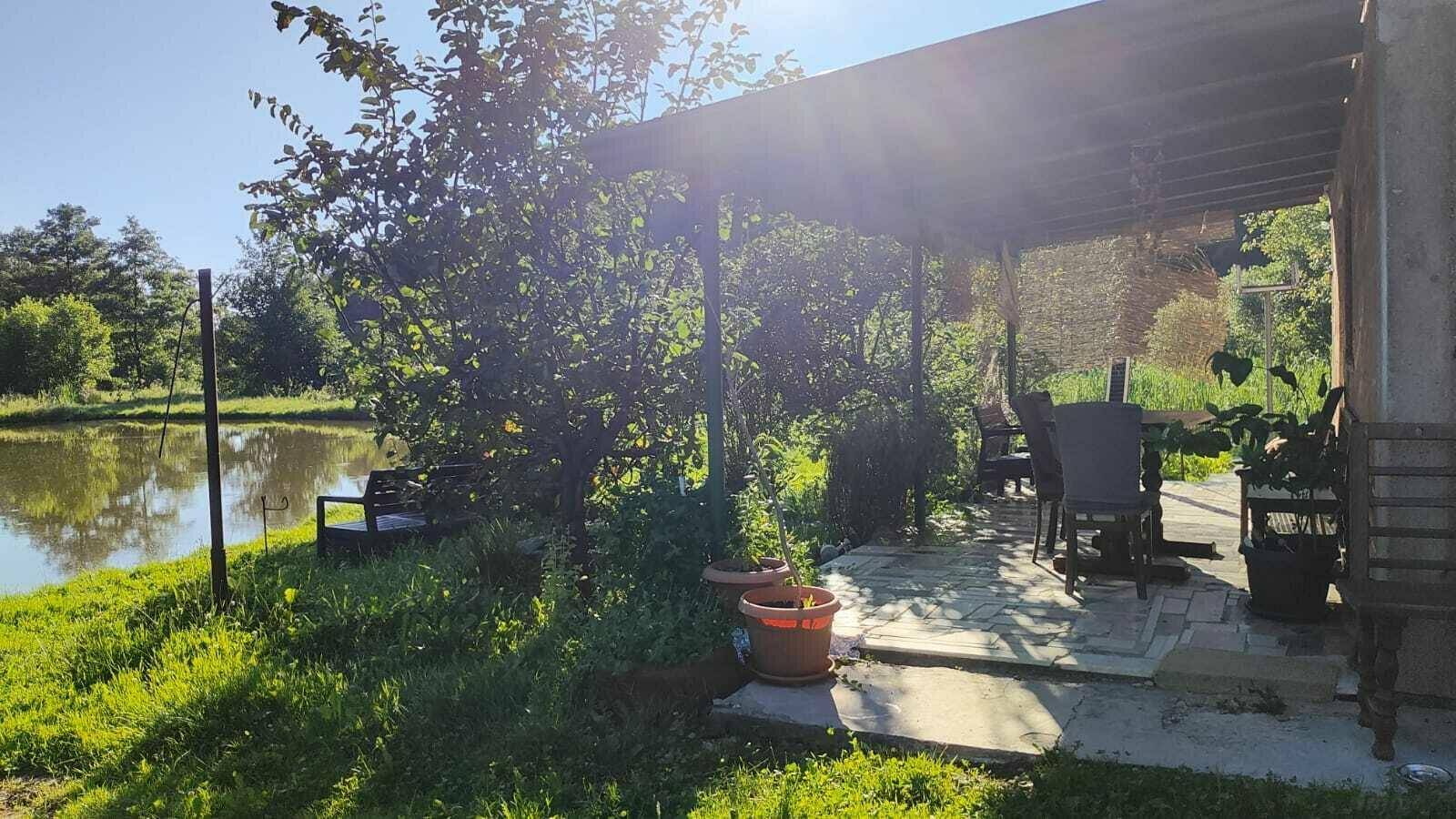 Überdachte Terrasse am Teich mit Gartenmöbeln und üppiger Vegetation.