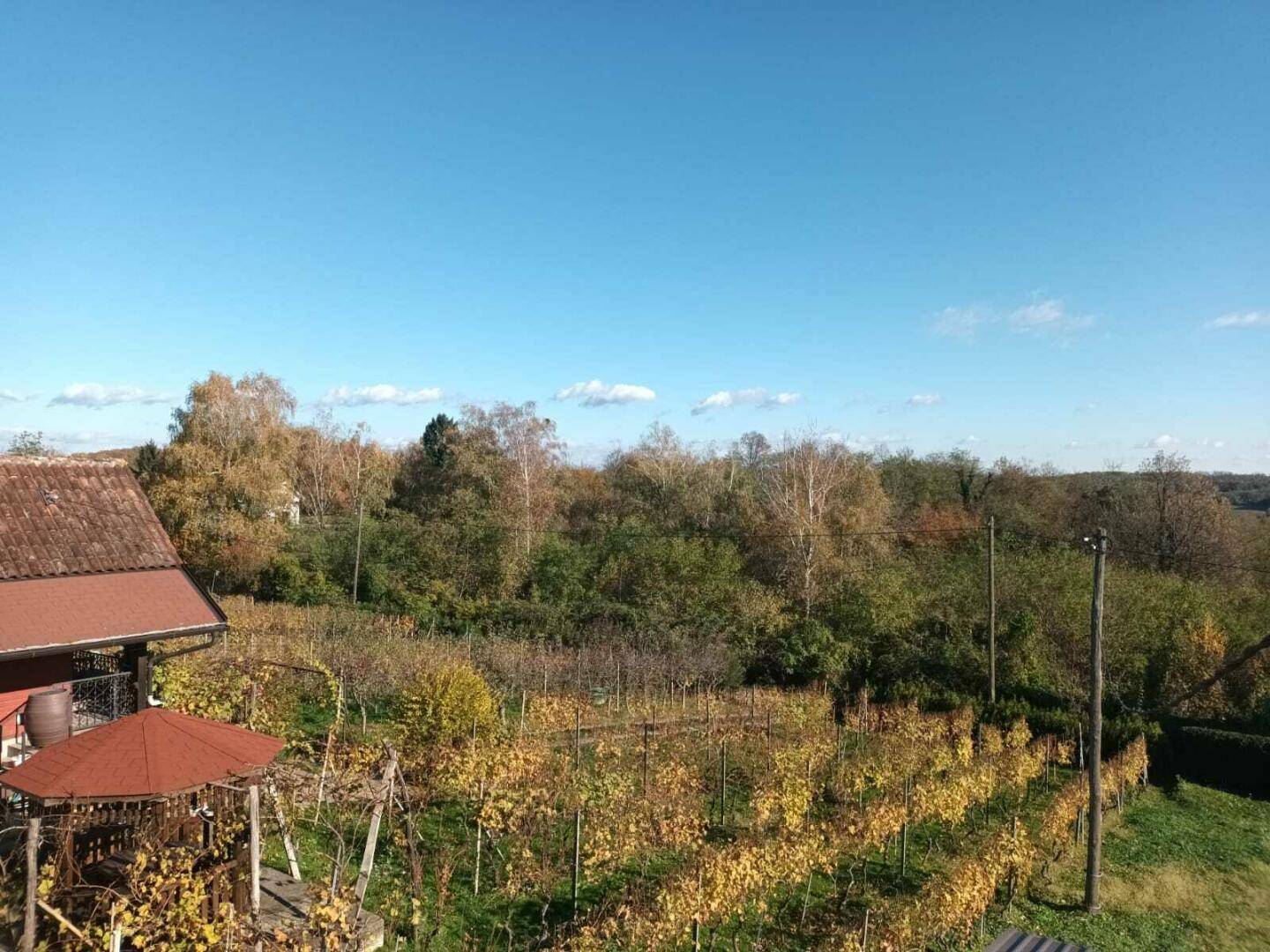 Blick auf ein Anwesen mit Weinberg, Gartenlaube und umgebender Herbstlandschaft.