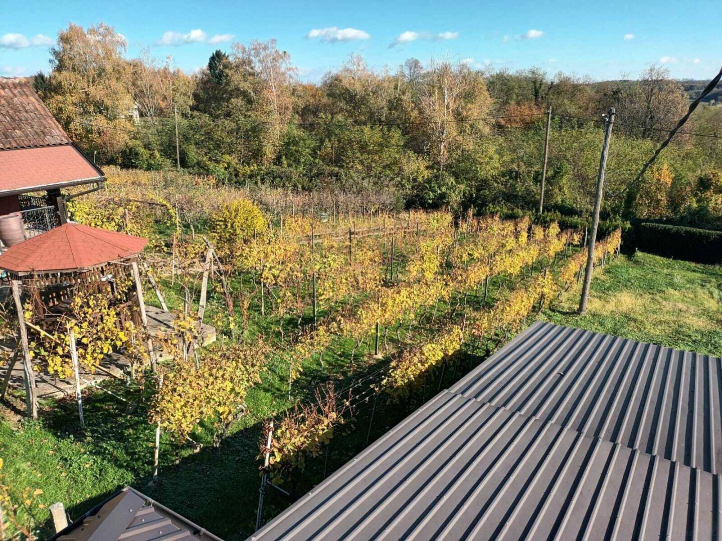 Luftaufnahme eines Anwesens mit Weinberg, Gartenlaube und einem Hausdach.