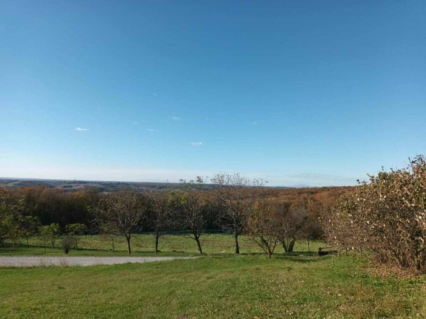 Weitläufige grüne Landschaft mit Bäumen und einem klaren blauen Himmel.