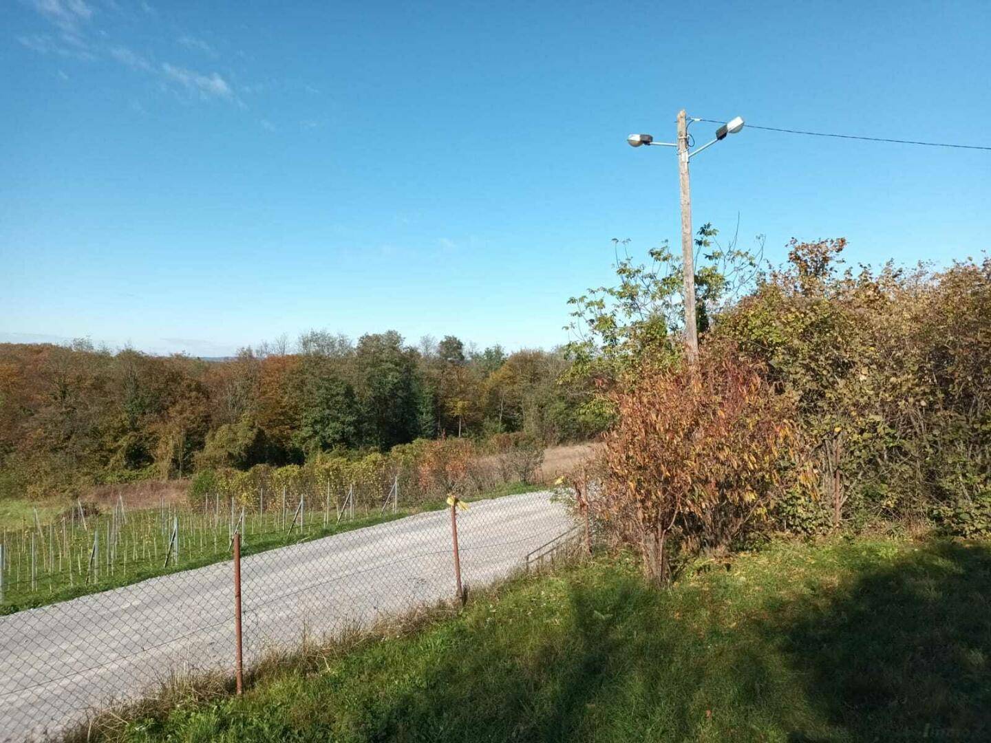Ländliche Straße mit Zaun, umgeben von herbstlicher Vegetation und einem Strommast.