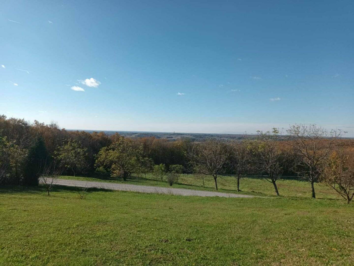 Panoramablick über eine grüne Hügellandschaft mit Bäumen und einem Feldweg.