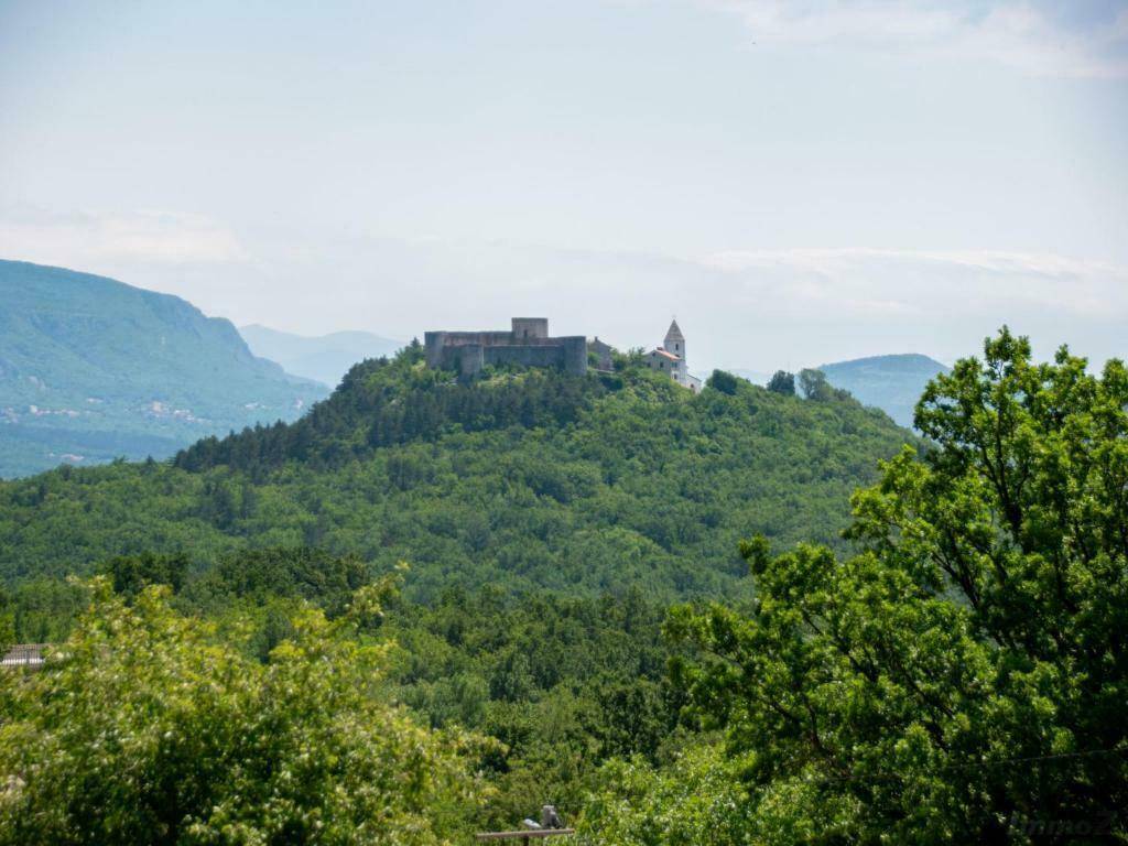 Historische Burg auf einem bewaldeten Hügel, umgeben von üppigem Grün unter einem weiten Himmel.