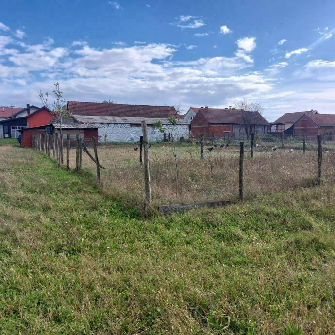 Eingezäunter Gartenbereich mit Gras und einfacher Bepflanzung, ideal für Haustiere.