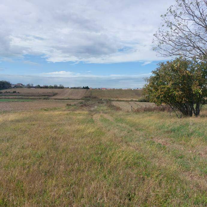 Weitläufiges Feld mit Wiesen und Bäumen in der Ferne unter bewölktem Himmel.