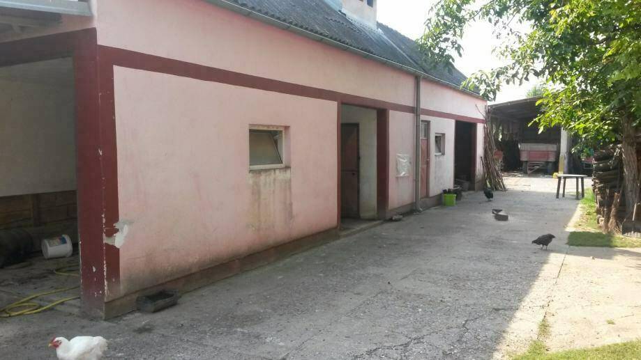 kuca-gundinci-prizemnica-200-m2-slika-40063061