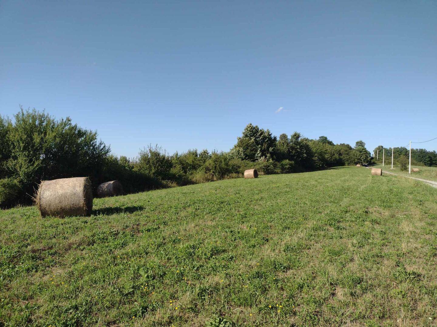 Grüne Wiese mit verstreuten Heuballen und einer Baumreihe am Horizont unter strahlend blauem Himmel.