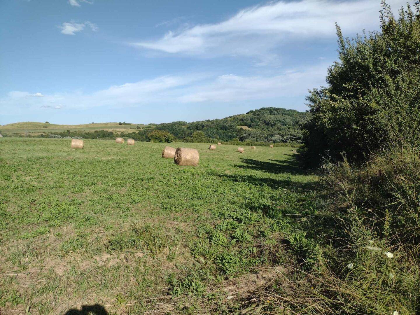 Sonniges Feld mit Heuballen und üppiger Vegetation, umgeben von sanften Hügeln und einem klaren Himmel.
