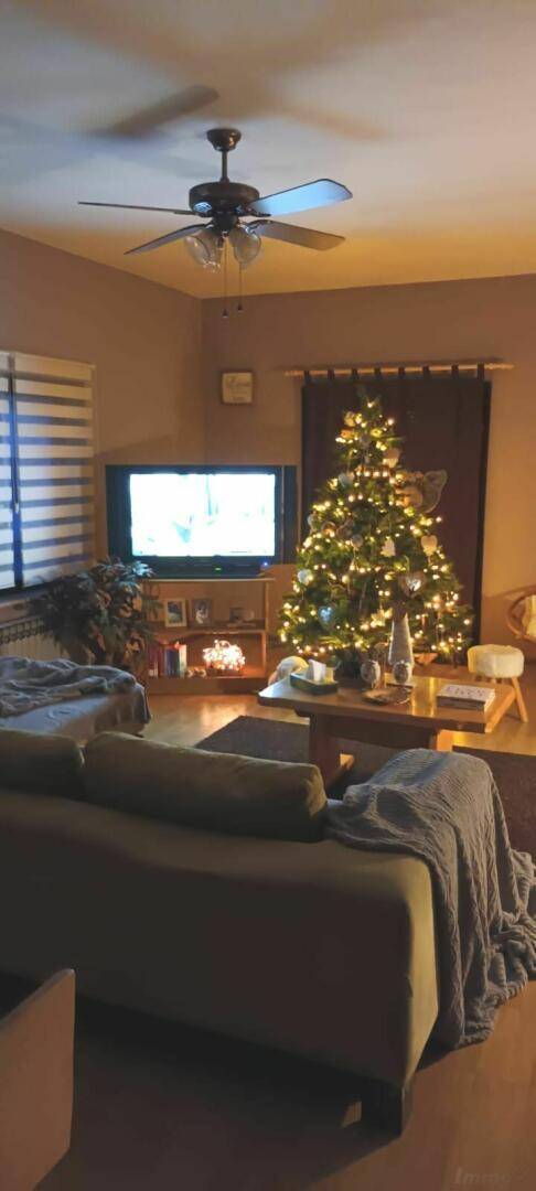 Gemütliches Wohnzimmer mit Deckenventilator, Fernseher und festlicher Weihnachtsdekoration.