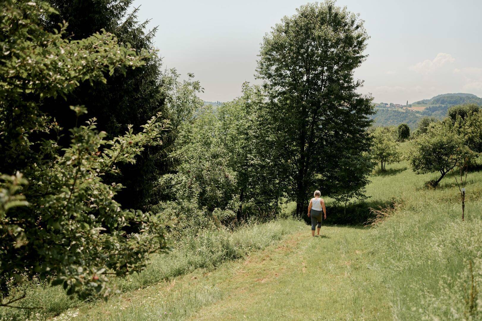 Garten und Wald