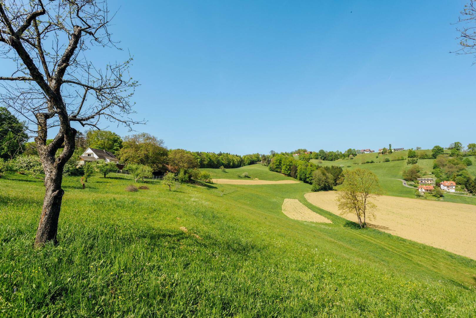 Panorama-Blick von Esstisch, Terrasse und Garten