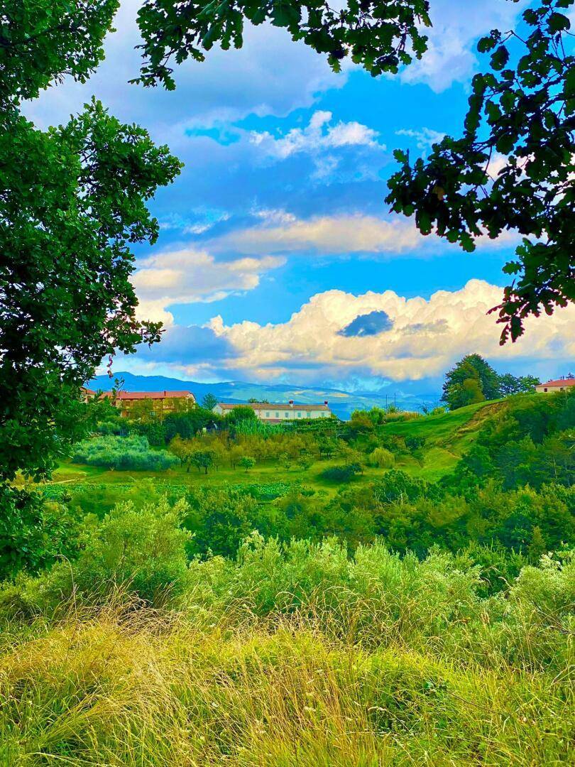 Weitläufiger Blick über eine grüne Landschaft mit Häusern und einem Dorf in der Ferne unter blauem Himmel.
