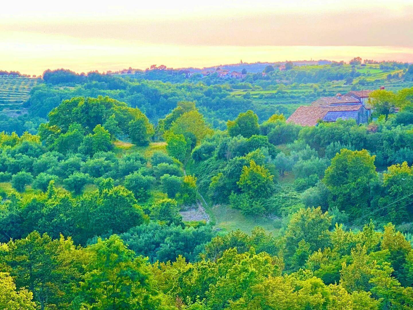 Panoramablick über eine grüne Hügellandschaft mit vereinzelten Häusern und einem Dorf in der Ferne.