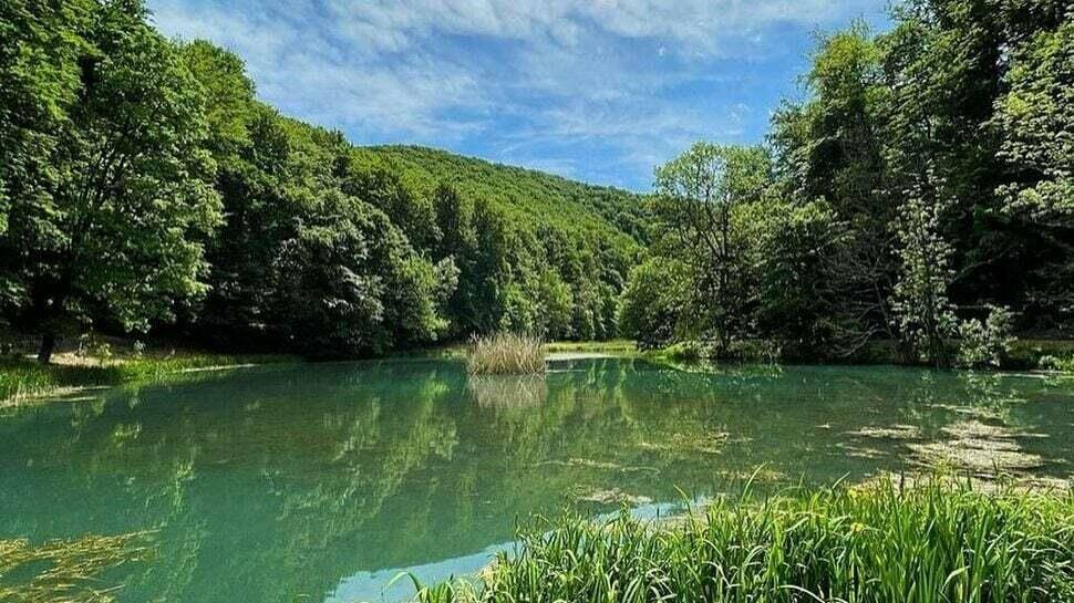 Ruhiger Teich inmitten eines üppigen Waldes mit klarem Wasser und blauem Himmel.