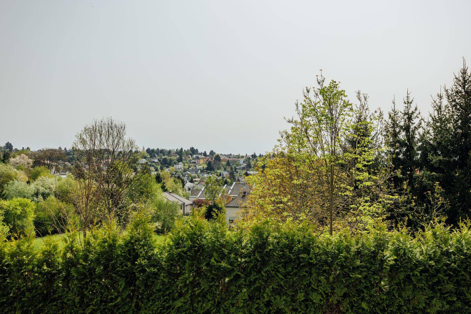 Terrasse mit Panorama-Blick