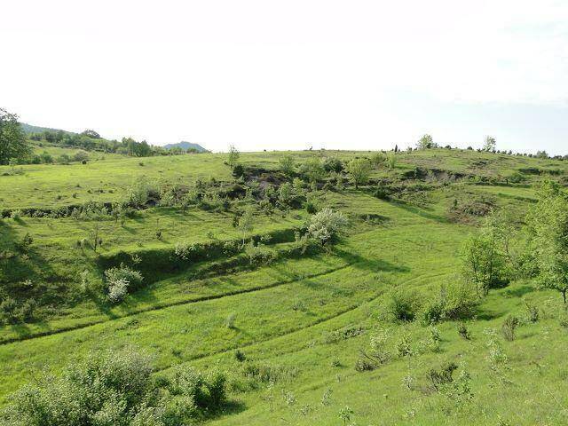 Grüne Hügellandschaft mit natürlichen Terrassen und vereinzelten Bäumen unter einem hellen Himmel.
