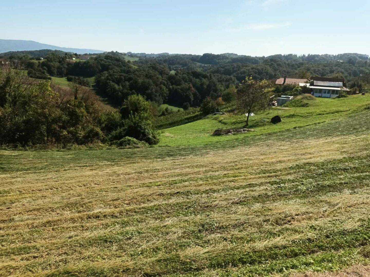 Sanfte Hügellandschaft mit gemähten Feldern und vereinzelten Häusern in der Ferne.