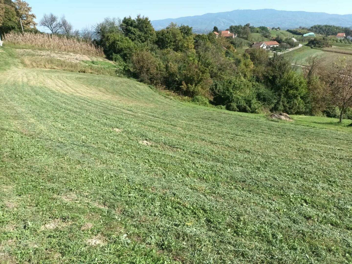 Grüne Wiesen und bewaldete Hügel erstrecken sich unter einem strahlend blauen Himmel.