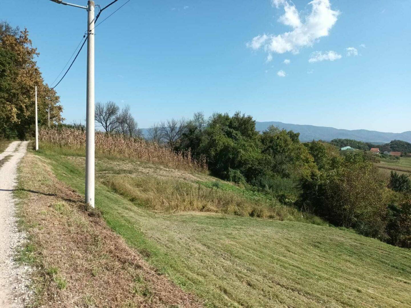 Ländlicher Feldweg führt durch eine grüne Landschaft mit Strommasten und bewaldeten Hängen.