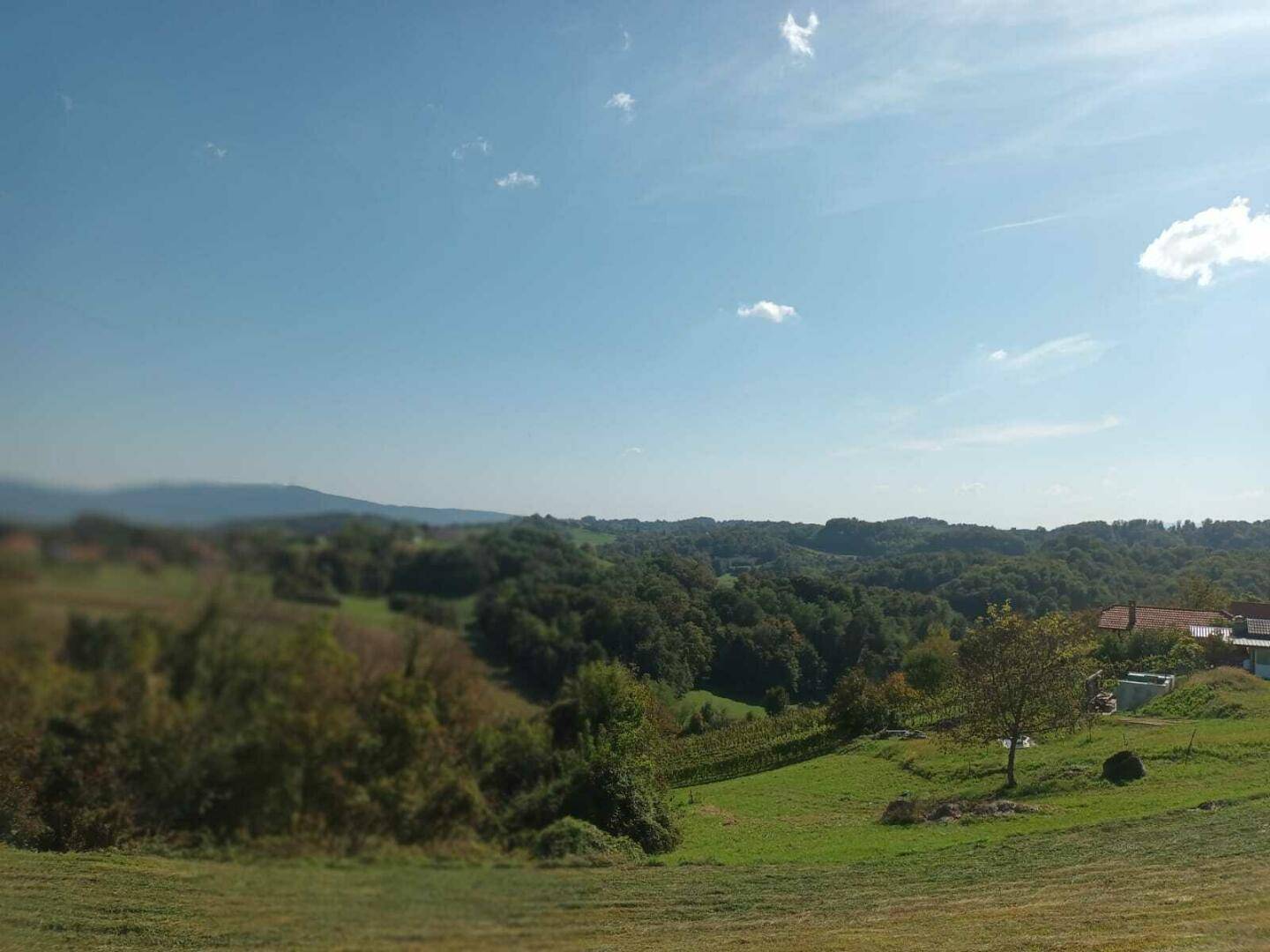 Weitläufige grüne Landschaft mit bewaldeten Hügeln und einem klaren blauen Himmel.