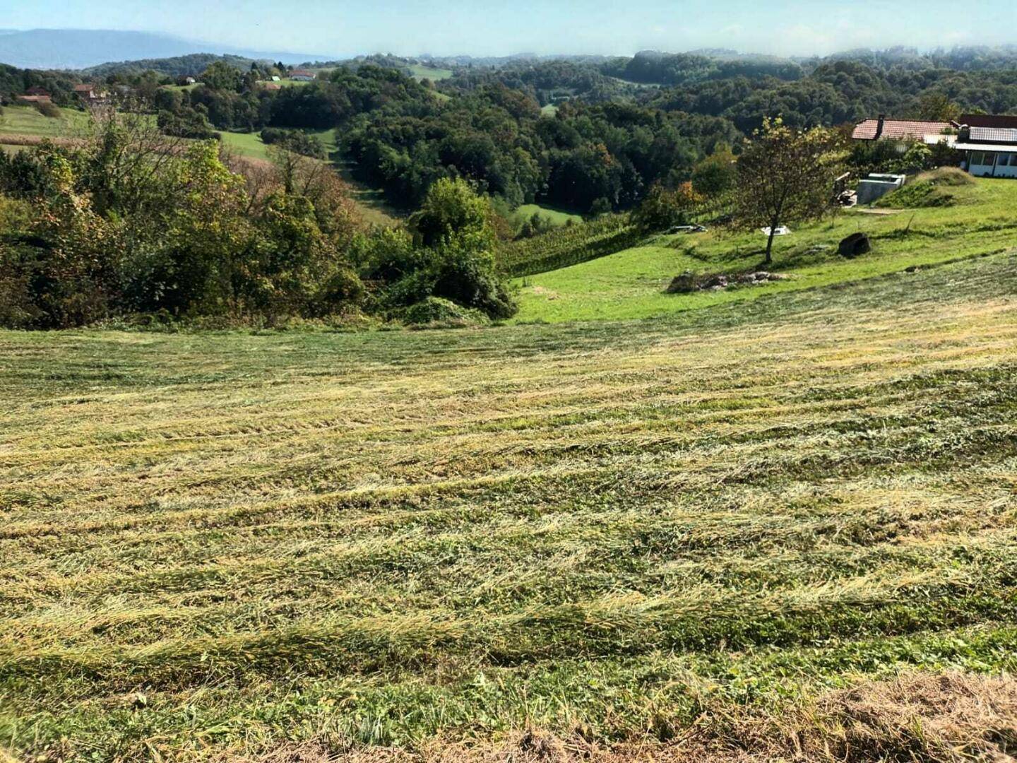 Sanfte Hügellandschaft mit gemähten Feldern und vereinzelten Häusern in der Ferne.