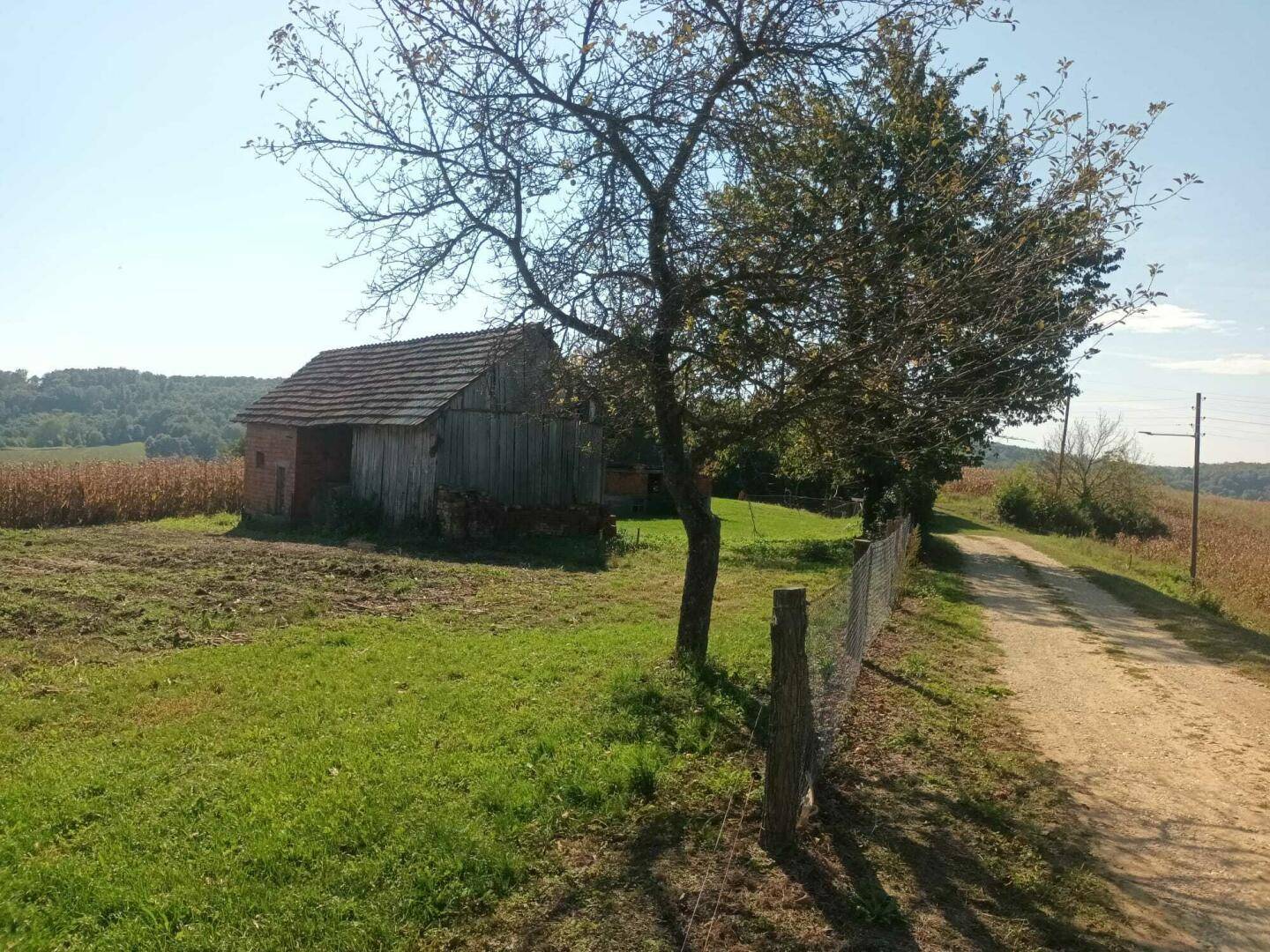 Alte Holzhütte oder Scheune neben einem Feldweg, umgeben von Bäumen und ländlicher Vegetation.