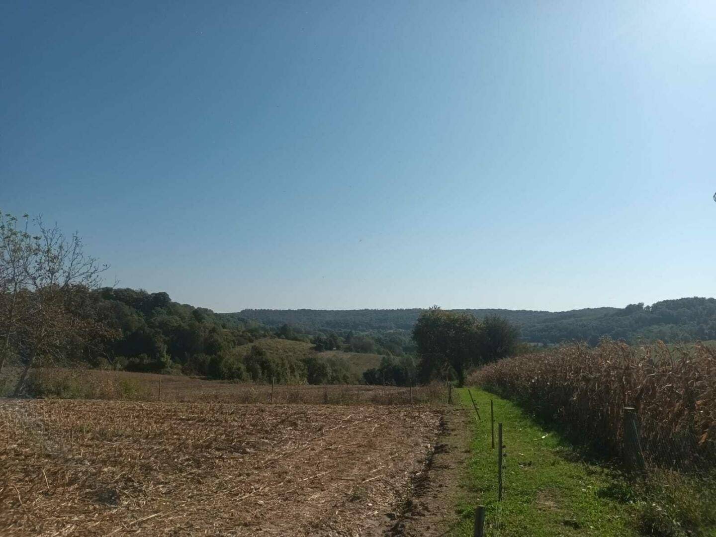 Ackerland mit einem Feldweg, umgeben von Wäldern und Hügeln unter klarem blauem Himmel.