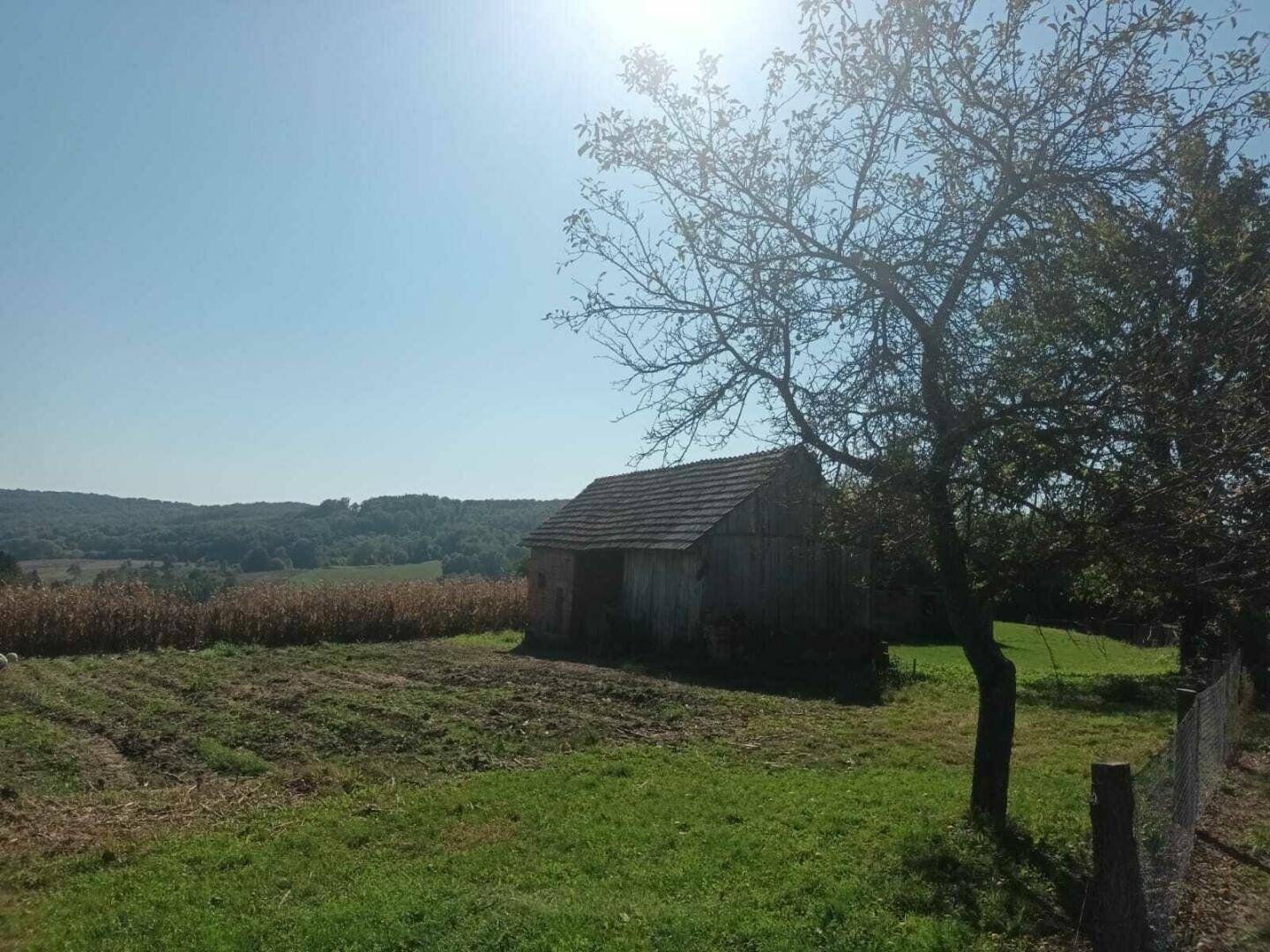 Alte Holzhütte oder Scheune auf einem Feld mit Bäumen und weitem Blick in die Landschaft.