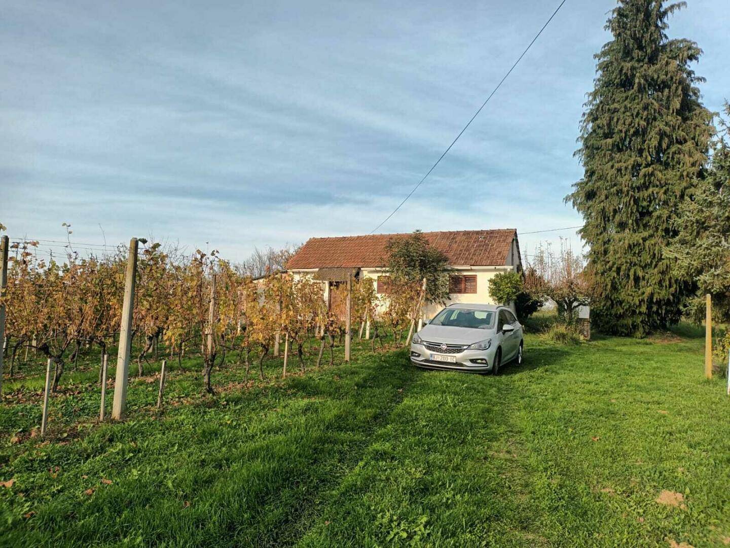 Ländliches Anwesen mit Haus, Weinberg und einem geparkten Auto im Grünen.