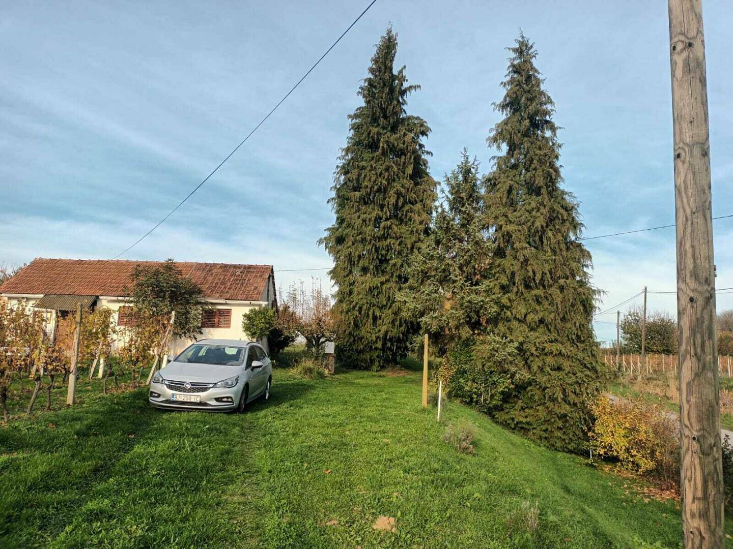 Ländliches Haus mit geparktem Auto, umgeben von hohen Nadelbäumen und einem Weinberg.