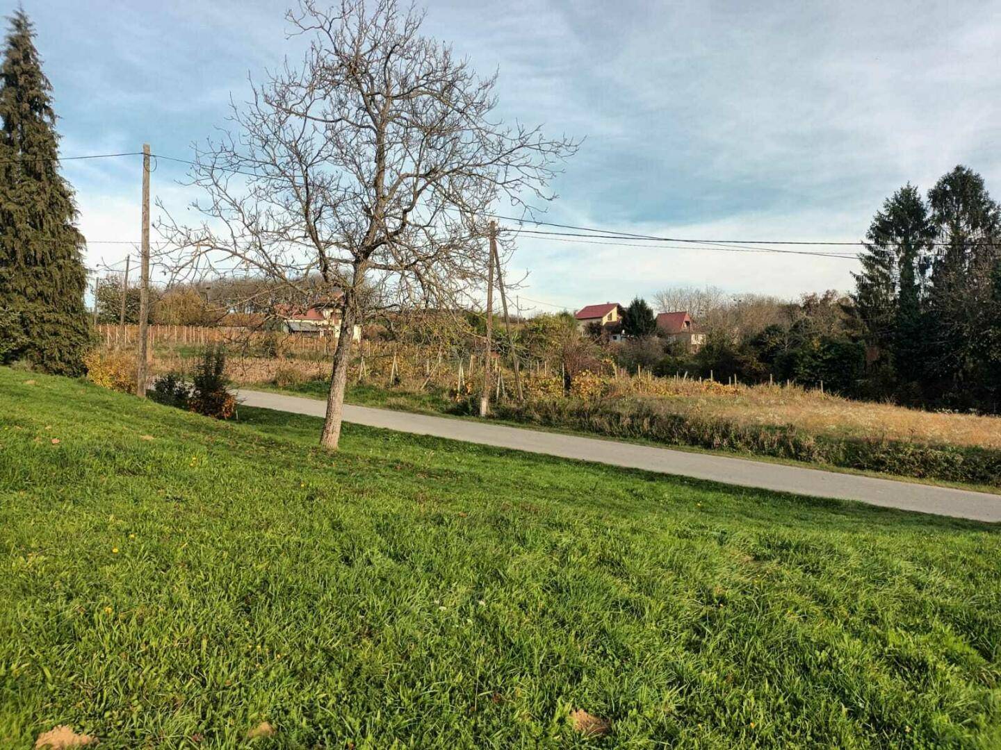 Ländliche Straße mit grünen Wiesen und vereinzelten Häusern in der Ferne.