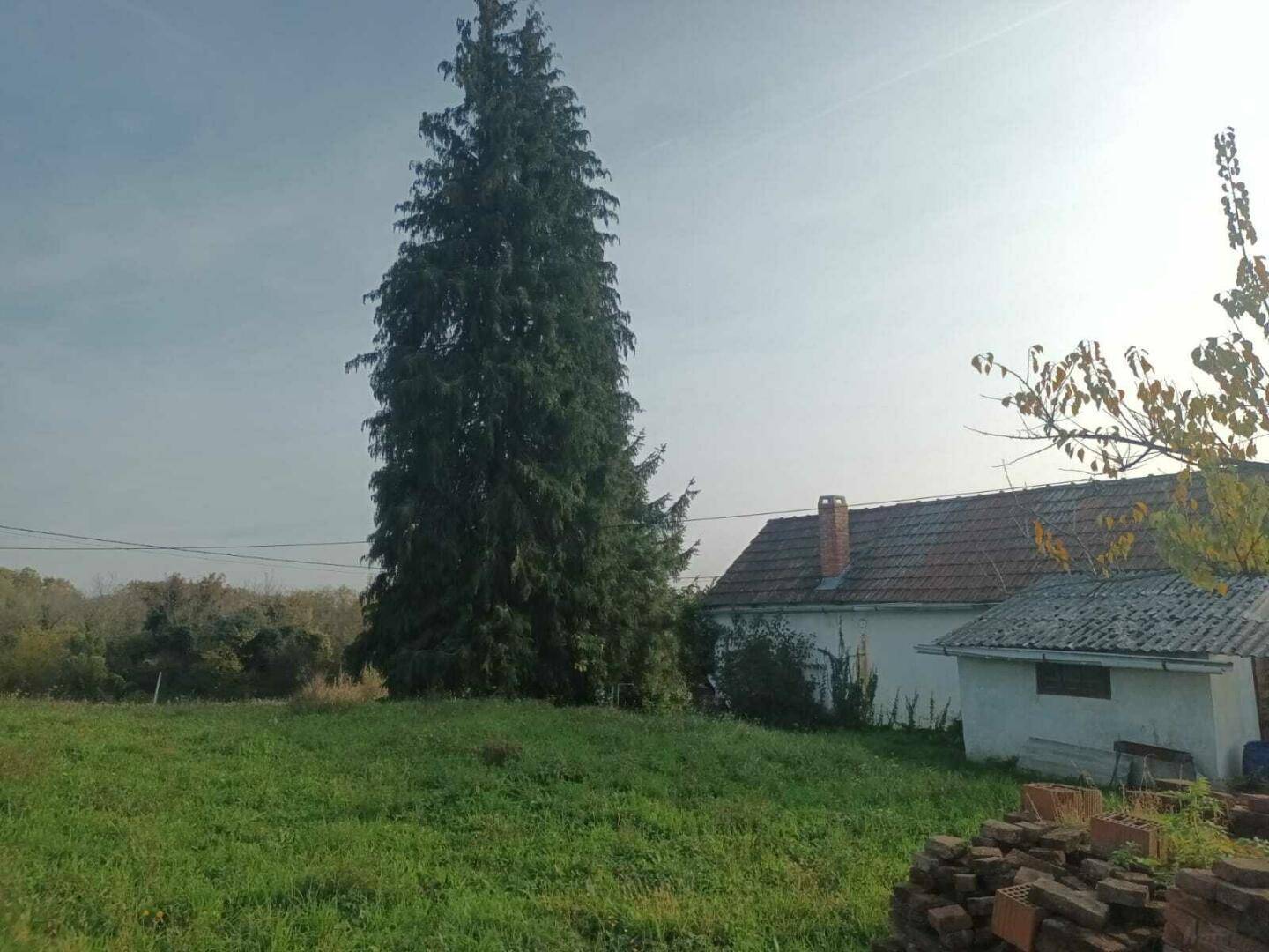 Seitenansicht eines ländlichen Hauses mit großem Nadelbaum und Ziegelstapel im Vordergrund.