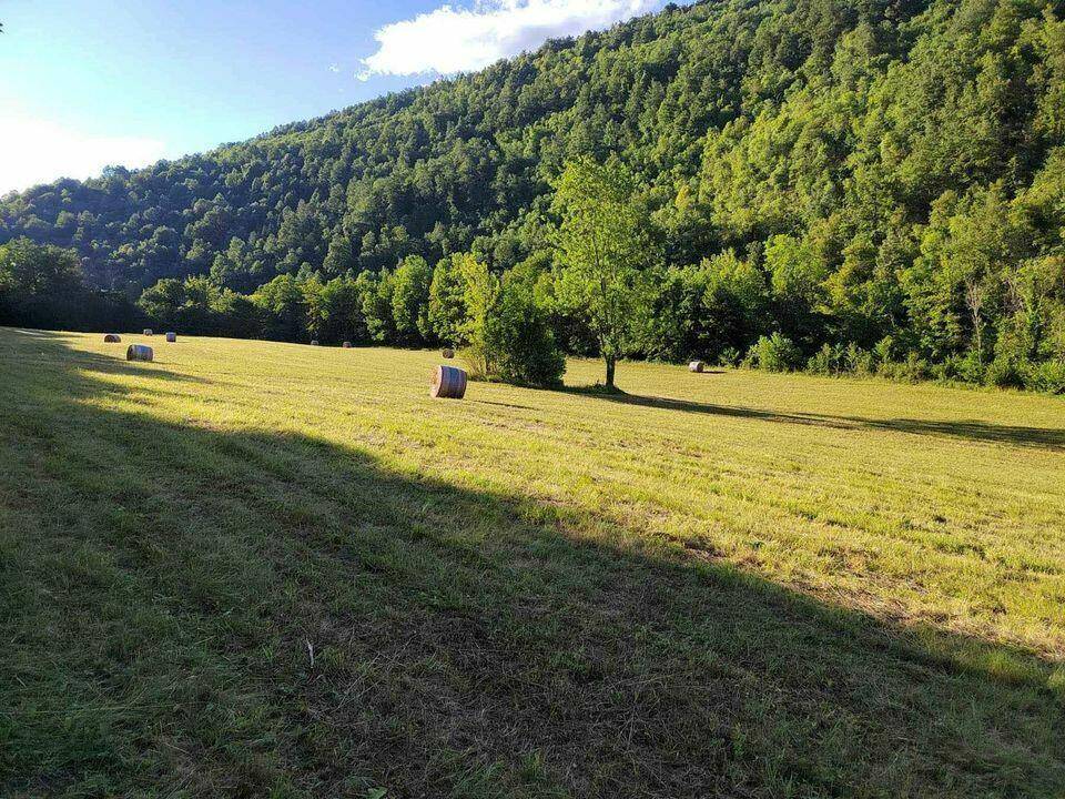 Weitläufiges Feld mit Heuballen vor einer bewaldeten Hügellandschaft unter blauem Himmel.