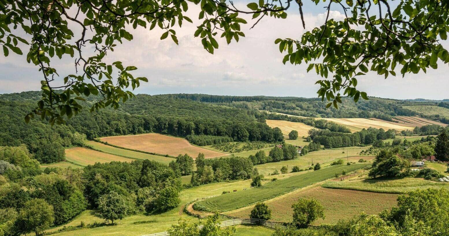 Panoramablick auf ein üppiges grünes Tal mit Feldern, Wäldern und fernen Hügeln, eingerahmt von Blättern.