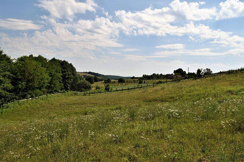 Große grüne Wiese mit Wildblumen, einem Holzzaun und Bäumen im Hintergrund unter einem bewölkten Himmel.