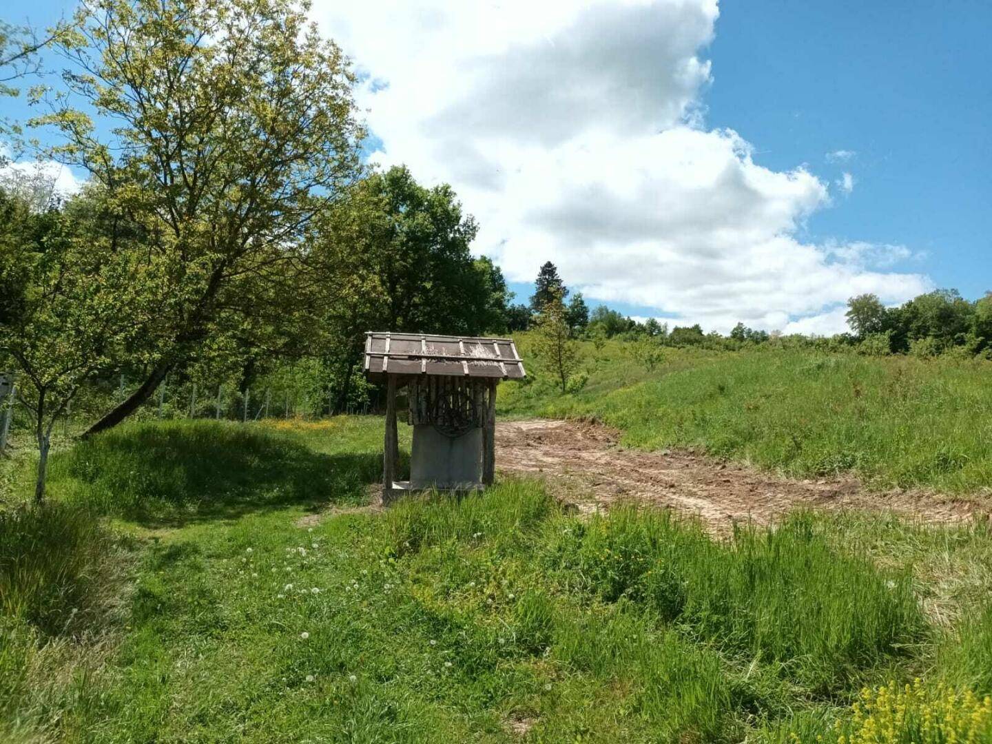 Grüne Wiese mit einem rustikalen Holzbrunnen und einem Feldweg, umgeben von Bäumen und Hügeln.