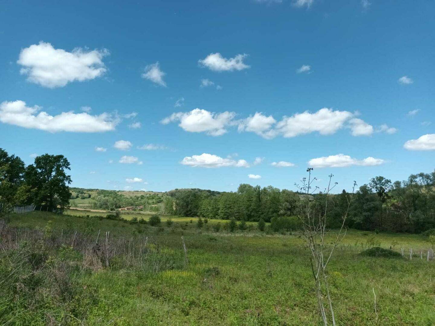 Ausgedehnte grüne Landschaft mit Bäumen am Horizont und einem klaren blauen Himmel mit vereinzelten Wolken.