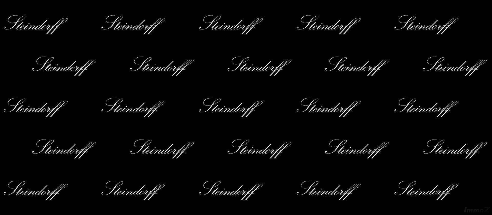 Steindorff-Platzhalter-kleine-Schrift(1)