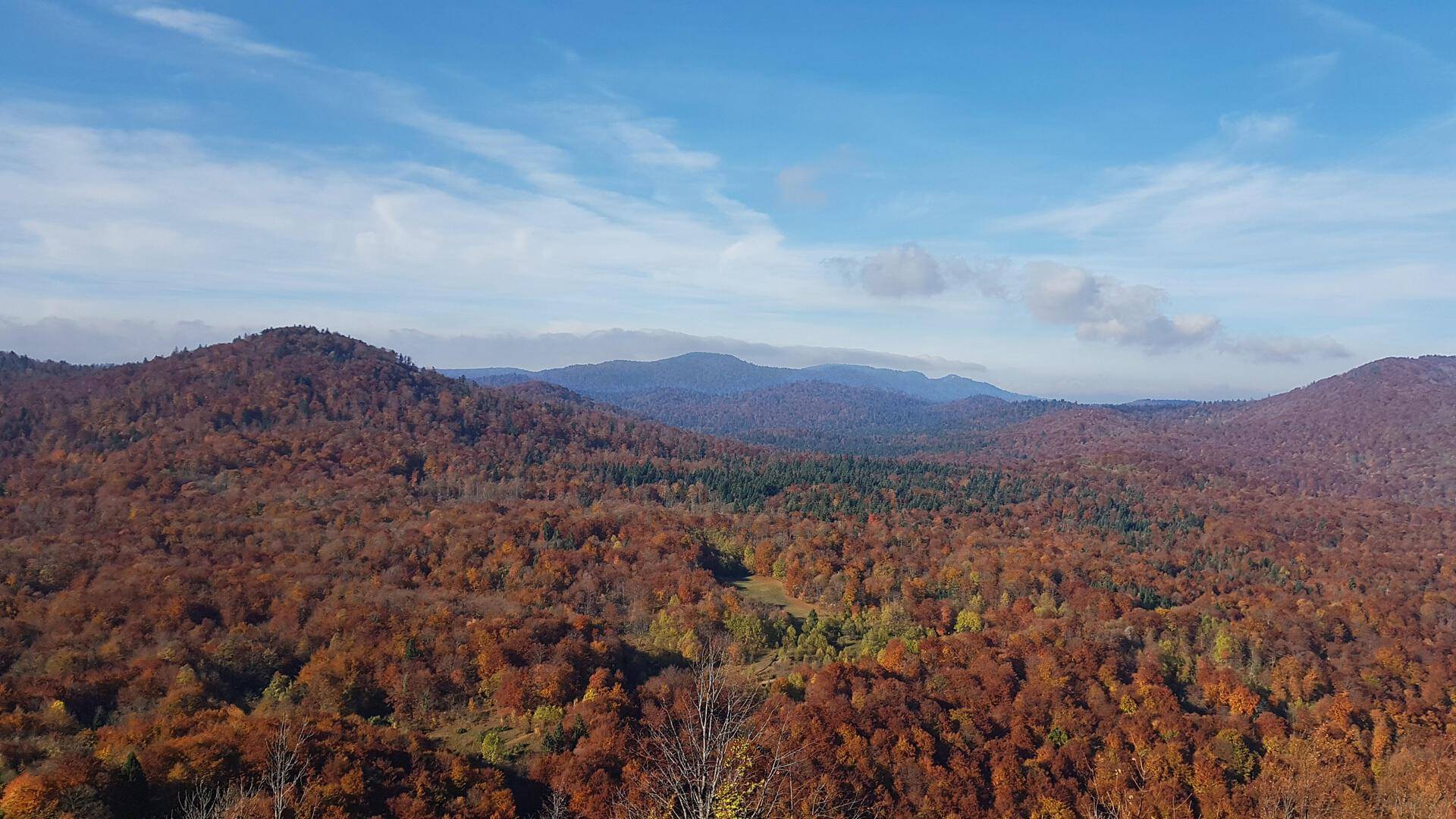 Weitläufige Herbstlandschaft mit bewaldeten Hügeln und Bergen unter blauem Himmel.