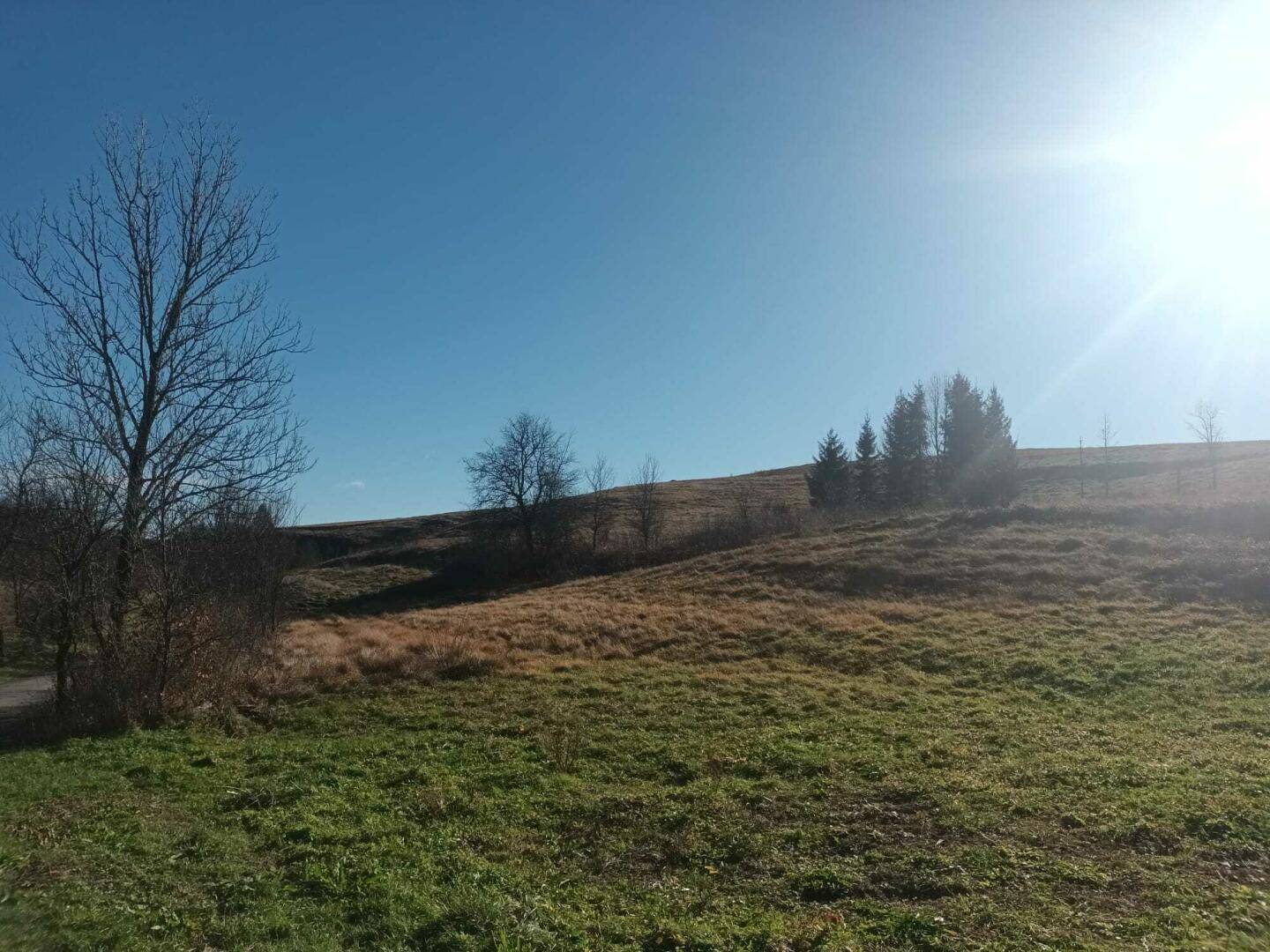 Sonnige Hügellandschaft mit trockenem Gras und vereinzelten Bäumen unter klarem Himmel.